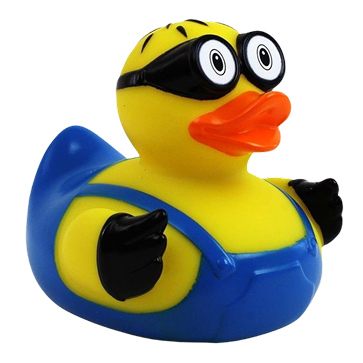 Quack Friday duck