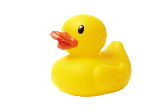 Yellow Duck